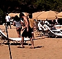 Filename=120.jpg
Filesize=72KiB
Dimensions=640x480
Date added=May 06, 2010 120.jpg