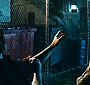 0305.jpg