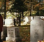 Filename=2339.jpg
Filesize=252KiB
Dimensions=1920x816
Date added=Aug 19, 2017 2339.jpg