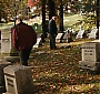 Filename=2341.jpg
Filesize=298KiB
Dimensions=1920x816
Date added=Aug 19, 2017 2341.jpg