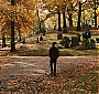 Filename=2347.jpg
Filesize=407KiB
Dimensions=1920x816
Date added=Aug 19, 2017 2347.jpg