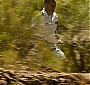 Filename=130.jpg
Filesize=271KiB
Dimensions=1920x800
Date added=Nov 29, 2015 130.jpg