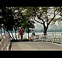 Filename=178.jpg
Filesize=106KiB
Dimensions=852x480
Date added=May 16, 2010 178.jpg