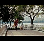 Filename=179.jpg
Filesize=103KiB
Dimensions=852x480
Date added=May 16, 2010 179.jpg