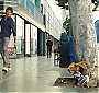 Filename=1140.jpg
Filesize=380KiB
Dimensions=1920x1040
Date added=Jan 26, 2016 1140.jpg
