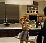 Filename=1410.jpg
Filesize=209KiB
Dimensions=1920x1040
Date added=Jan 26, 2016 1410.jpg