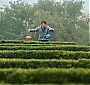 Filename=1444.jpg
Filesize=285KiB
Dimensions=1920x1040
Date added=Jan 26, 2016 1444.jpg