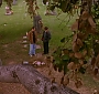 Filename=260.jpg
Filesize=49KiB
Dimensions=576x432
Date added=Jul 30, 2010 260.jpg