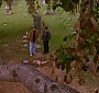 Filename=261.jpg
Filesize=49KiB
Dimensions=576x432
Date added=Jul 30, 2010 261.jpg