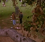 Filename=262.jpg
Filesize=46KiB
Dimensions=576x432
Date added=Jul 30, 2010 262.jpg