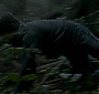 Filename=1910.jpg
Filesize=132KiB
Dimensions=1920x1080
Date added=Sep 18, 2017 1910.jpg