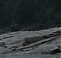 Filename=1938.jpg
Filesize=197KiB
Dimensions=1920x1080
Date added=Sep 18, 2017 1938.jpg