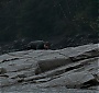 Filename=1939.jpg
Filesize=189KiB
Dimensions=1920x1080
Date added=Sep 18, 2017 1939.jpg