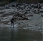 Filename=1945.jpg
Filesize=275KiB
Dimensions=1920x1080
Date added=Sep 18, 2017 1945.jpg