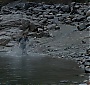 Filename=1946.jpg
Filesize=290KiB
Dimensions=1920x1080
Date added=Sep 18, 2017 1946.jpg