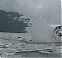 Filename=2022.jpg
Filesize=162KiB
Dimensions=1920x1080
Date added=Sep 18, 2017 2022.jpg