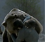 Filename=2051.jpg
Filesize=137KiB
Dimensions=1920x1080
Date added=Sep 18, 2017 2051.jpg