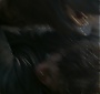 Filename=2060.jpg
Filesize=134KiB
Dimensions=1920x1080
Date added=Sep 18, 2017 2060.jpg
