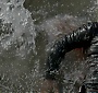 Filename=2083.jpg
Filesize=252KiB
Dimensions=1920x1080
Date added=Sep 18, 2017 2083.jpg