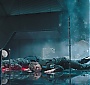 343.jpg
