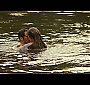 Filename=1118.jpg
Filesize=370KiB
Dimensions=1920x1080
Date added=Dec 07, 2015 1118.jpg