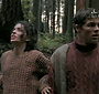 Filename=397.jpg
Filesize=35KiB
Dimensions=512x384
Date added=Apr 08, 2010 397.jpg