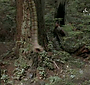 Filename=411.jpg
Filesize=42KiB
Dimensions=512x384
Date added=Apr 08, 2010 411.jpg