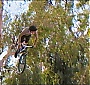 Filename=205.jpg
Filesize=242KiB
Dimensions=1920x1080
Date added=Nov 08, 2017 205.jpg