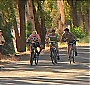 Filename=207.jpg
Filesize=242KiB
Dimensions=1920x1080
Date added=Nov 08, 2017 207.jpg