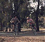 Filename=209.jpg
Filesize=379KiB
Dimensions=1920x1080
Date added=Nov 08, 2017 209.jpg