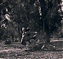 Filename=221.jpg
Filesize=298KiB
Dimensions=1920x1080
Date added=Nov 08, 2017 221.jpg
