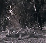 Filename=223.jpg
Filesize=240KiB
Dimensions=1920x1080
Date added=Nov 08, 2017 223.jpg