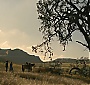 Filename=103.jpg
Filesize=319KiB
Dimensions=1920x1080
Date added=Jun 25, 2017 103.jpg