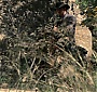 Filename=425.jpg
Filesize=318KiB
Dimensions=1920x1080
Date added=Jun 25, 2017 425.jpg