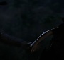 Filename=569.jpg
Filesize=76KiB
Dimensions=1920x1080
Date added=Jun 25, 2017 569.jpg