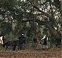 Filename=070.jpg
Filesize=472KiB
Dimensions=1920x1080
Date added=Jun 25, 2017 070.jpg