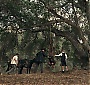 Filename=071.jpg
Filesize=473KiB
Dimensions=1920x1080
Date added=Jun 25, 2017 071.jpg