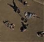 Filename=311.jpg
Filesize=248KiB
Dimensions=1920x1080
Date added=Jun 25, 2017 311.jpg