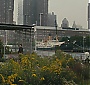 114.jpg