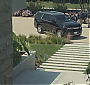 110.jpg